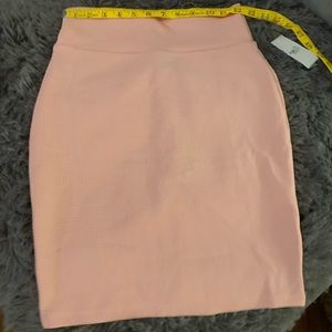 NWT high waist skirt